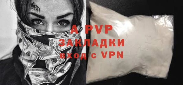 тгк Бородино
