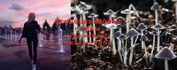 скорость Богданович