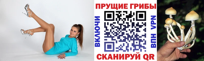 МЕГА ссылка  Волосово  Галлюциногенные грибы Psilocybine cubensis 