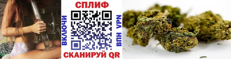 Бошки Шишки MAZAR  ОМГ ОМГ вход  Волосово 